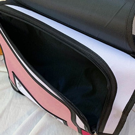 2D Backpack 2D Backpack